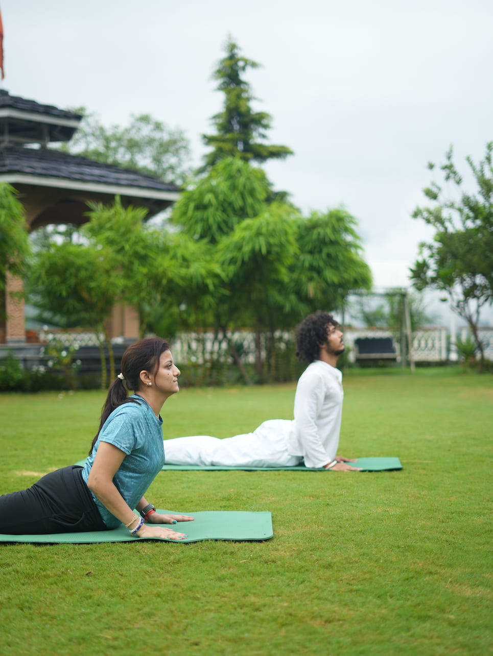 Guests practising Cobra pose on the ashram lawn