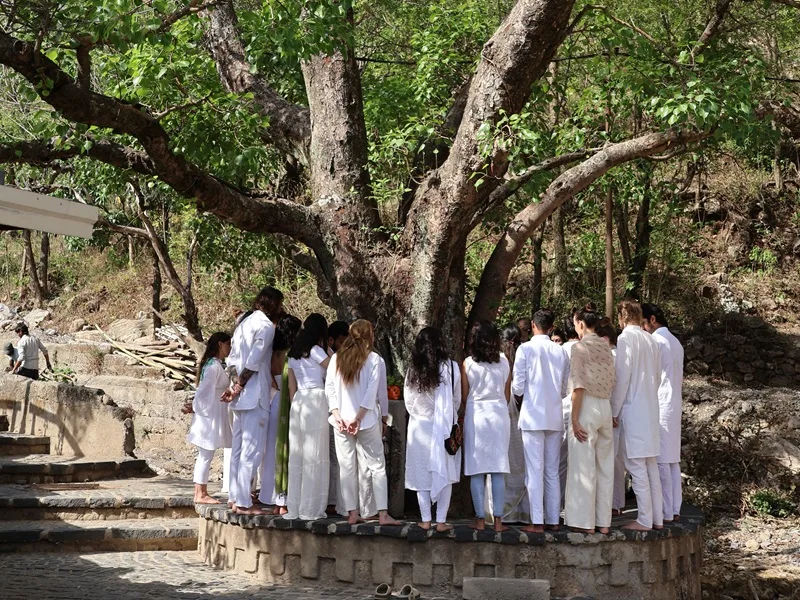 Yoga retreat surrounded by nature at Abhayaranya Ashram