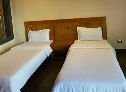 Air-conditioned twin shared room with two beds and attached bathroom