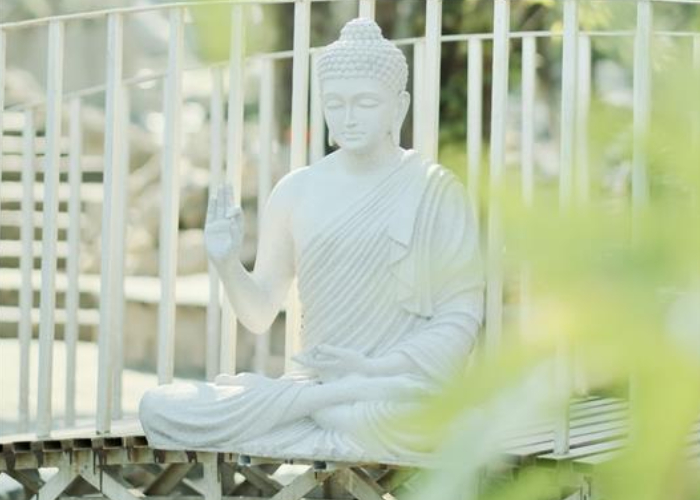 Yoga Teacher Training in Rishikesh