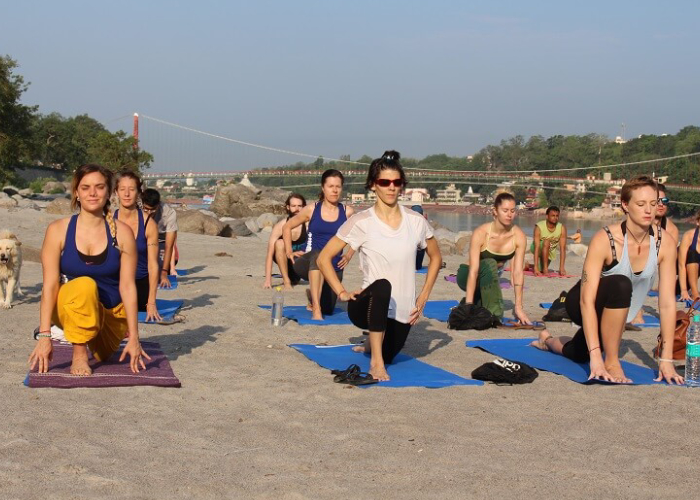 Yoga Teacher Training in Rishikesh