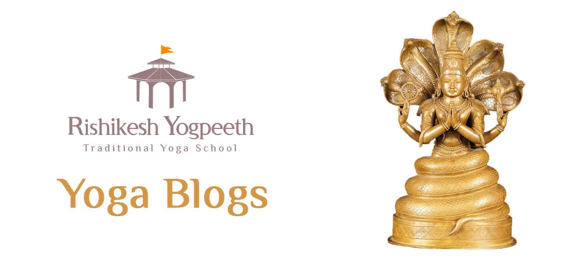 The Top Yoga Blogs to Follow - Rishikesh Yogpeeth