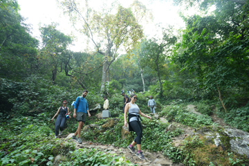 Ayurvedic Weight Loss Program In Rishikesh, India.